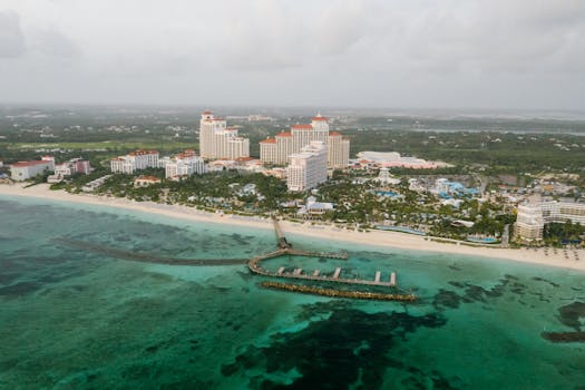 The Most Eco-Friendly Hotels in Major Cities