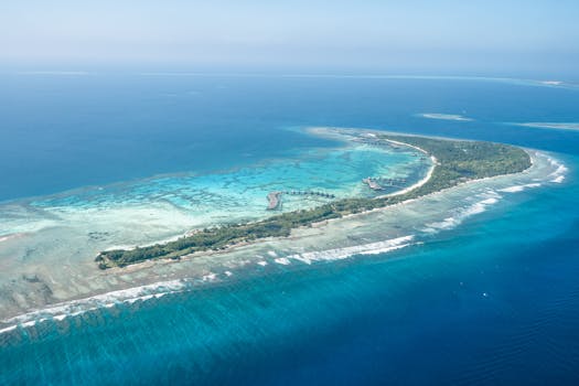 Boutique Paradise at Coralbreeze Inn