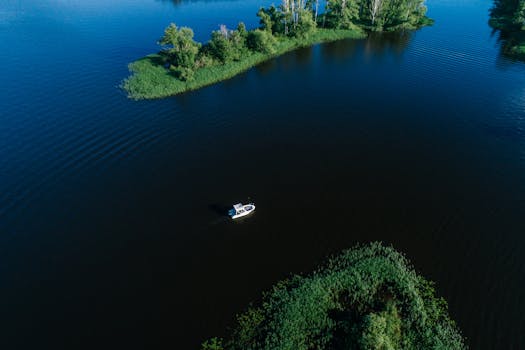 Island Quietude at Palmsoul Inn