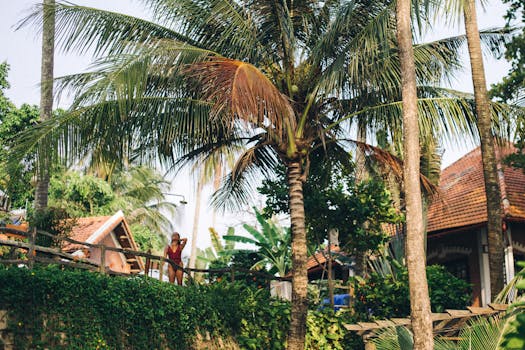 Jungle Vibe Living at Wildsoul Villa