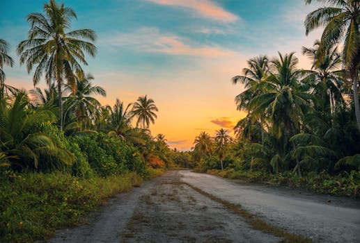 Peaceful Tropics at Palmshade Inn
