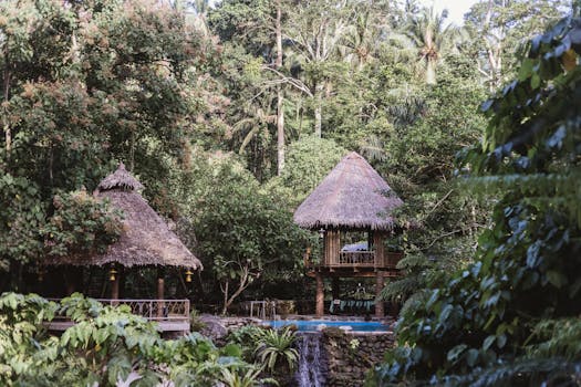 Rainforest Escape at Wildglow Retreat