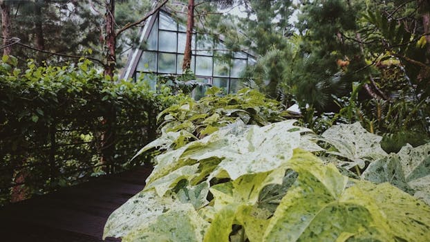 Rainforest Luxe at Wildpine Pavilion