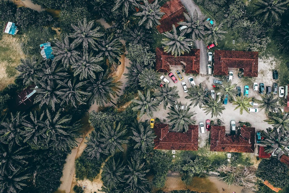 Hawaii Jungle Villas With Palm Paths and Fire Floors