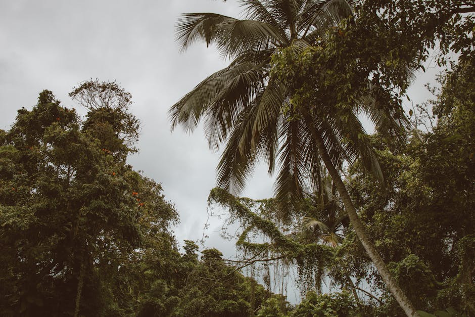 Hawaii Jungle Villas With Palm Roofs and Fire Hammocks