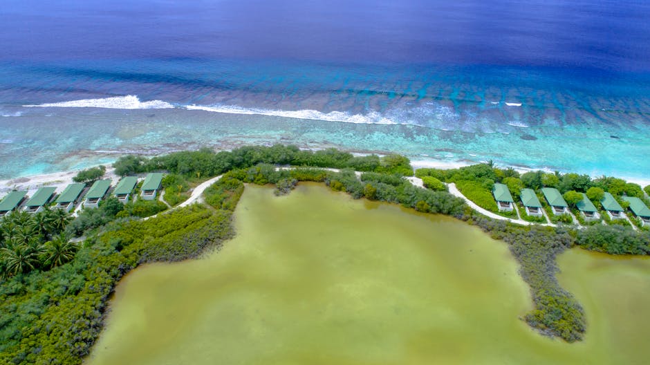 Maldives Floating Villas With Coral Walls and Lagoon Ceilings