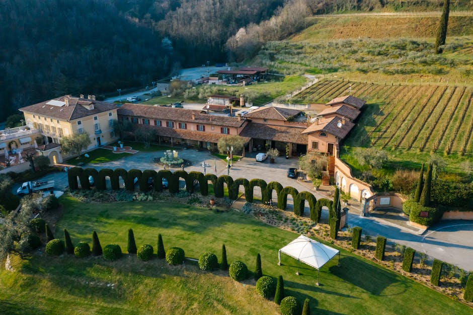 Tuscany Olive Villas With Vineyard Floors and Rosé Patios