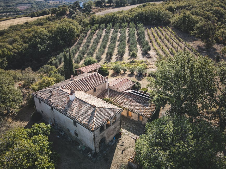 Tuscany Vineyard Villas With Olive Ceilings and Fire Hammocks