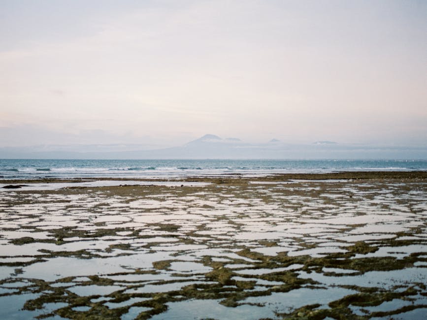 Bali Beach Hotels With Ocean Walls and Sky Pools