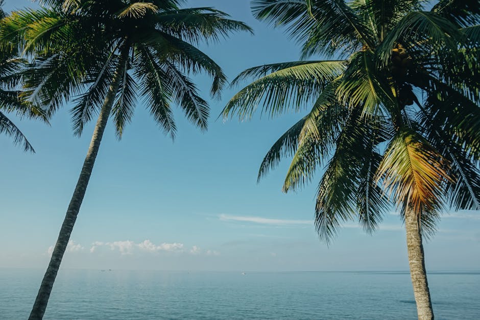 Bali Beach Hotels With Sky Ceilings and Ocean Floors