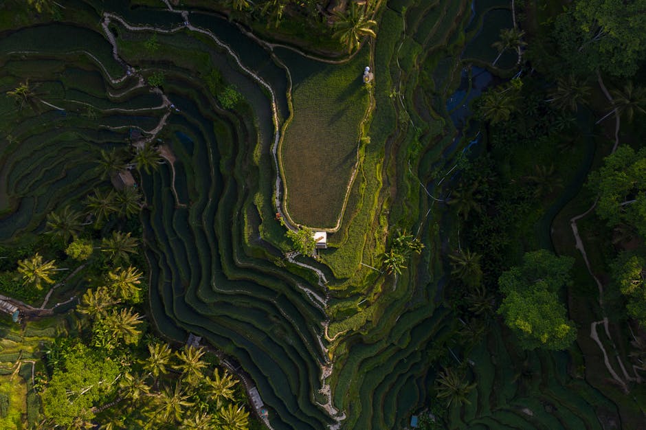 Bali Jungle Hotels With Fire Benches and Water Paths