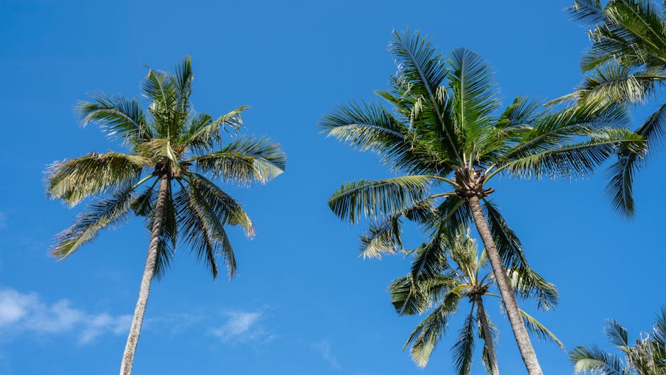 Bali Sky Hotels With Fire Paths and Coconut Ceilings