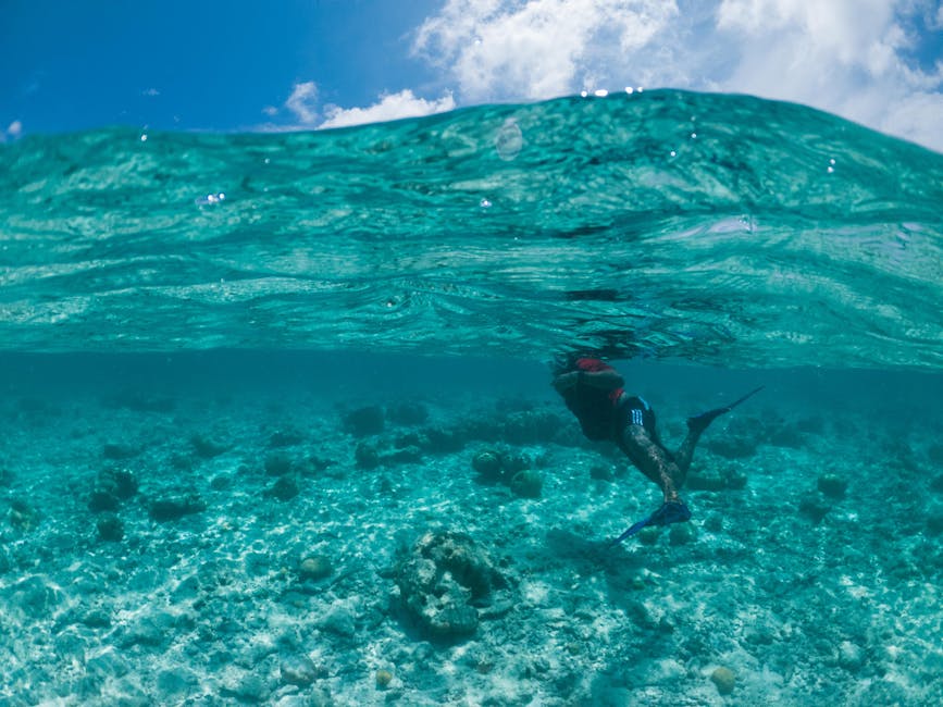 Maldives Coral Hotels With Floating Ceilings and Lagoon Floors