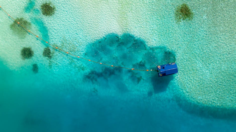 Maldives Coral Hotels With Floating Floors and Lagoon Walls