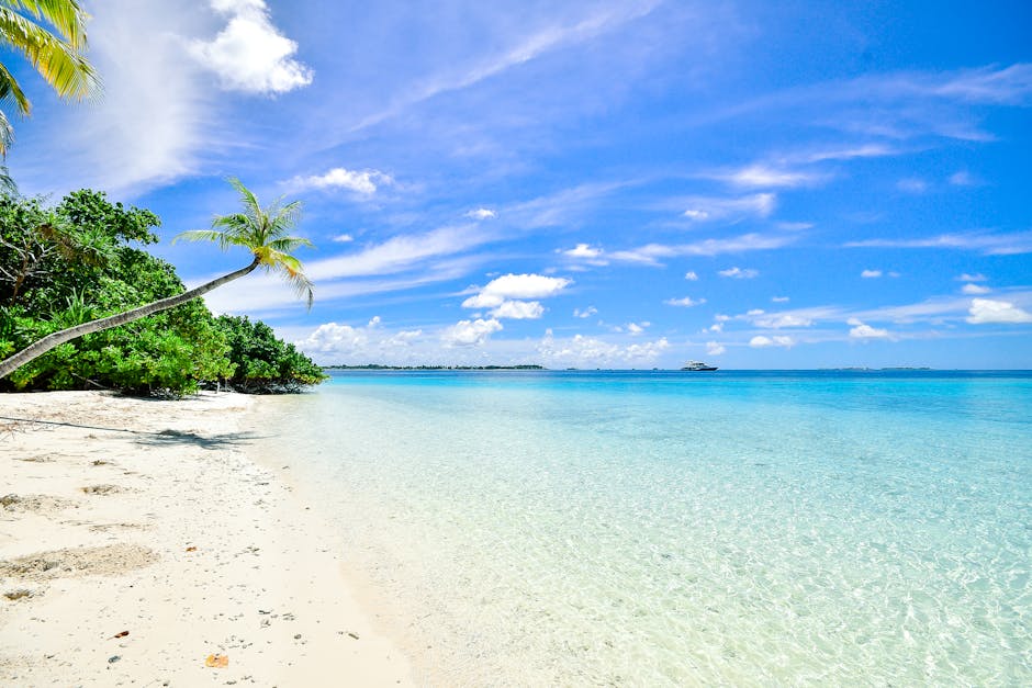 Maldives Floating Hotels With Coral Floors and Lagoon Ceilings