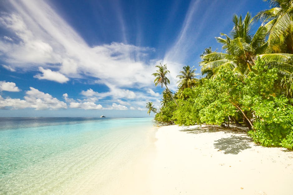 Maldives Ocean Hotels With Coral Floors and Floating Bars