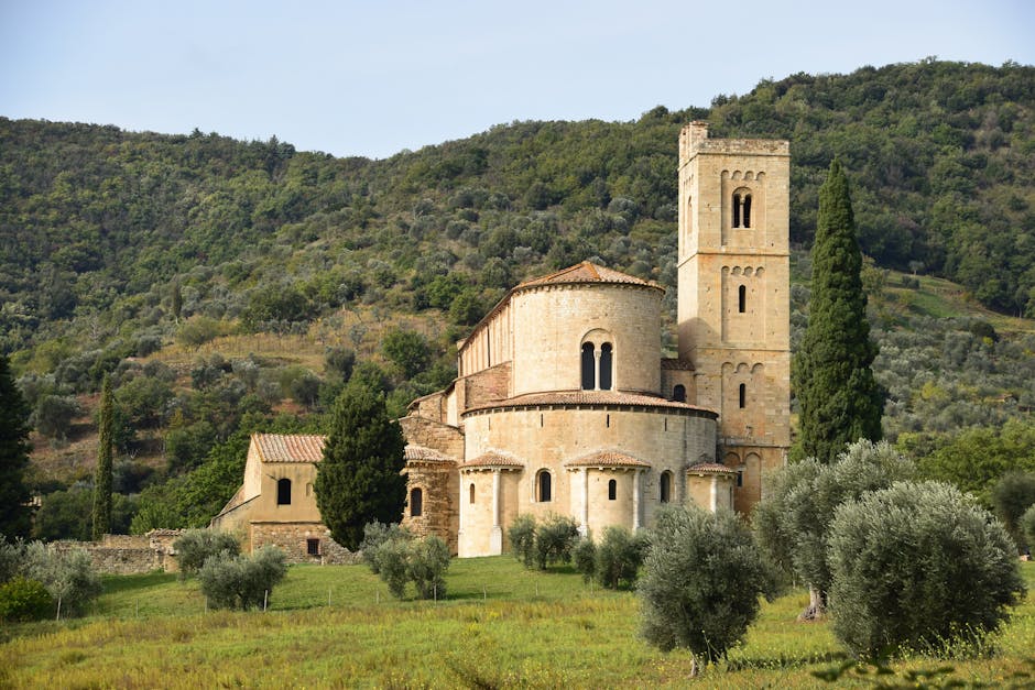 Tuscany Vineyard Hotels With Olive Fireplaces and Stone Paths